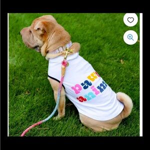 Packed Party Dog Hoodie Medium Shirt “Pawty Animal”  17” Back  length, 43.1 cm